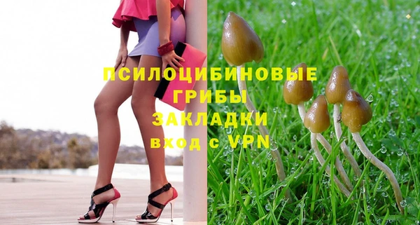 стафф Баксан