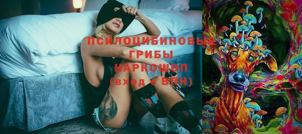 прущий лед Аркадак
