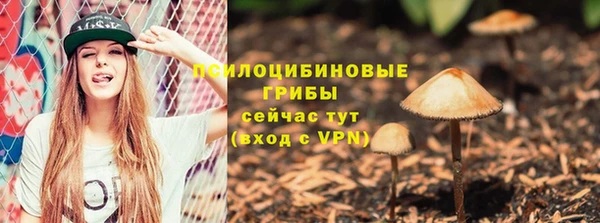 шишки Балабаново