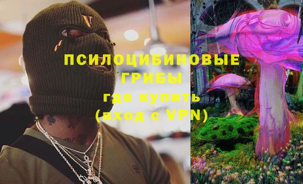 мяу мяу мука Арсеньев