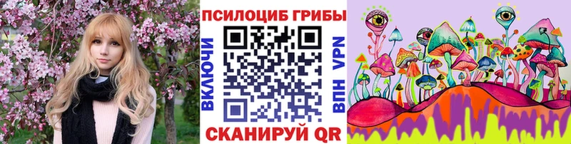 сколько стоит Балей Галлюциногенные грибы Psilocybe